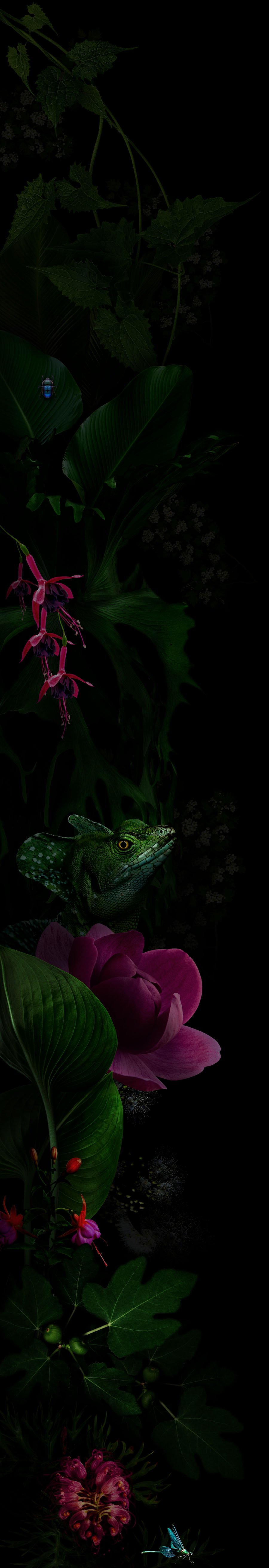 nb_border_1_soul_magic_090624