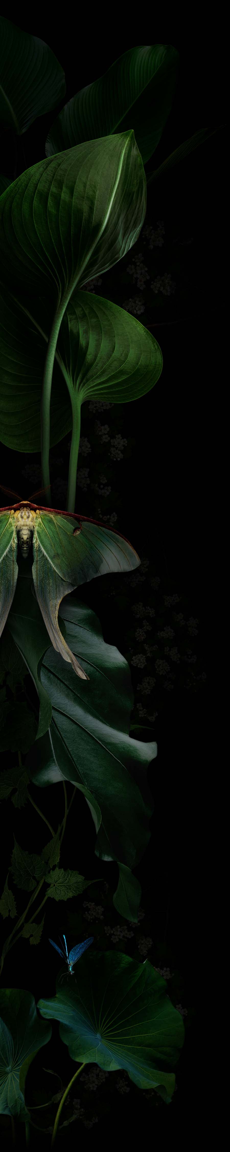 nb_border_product_200524