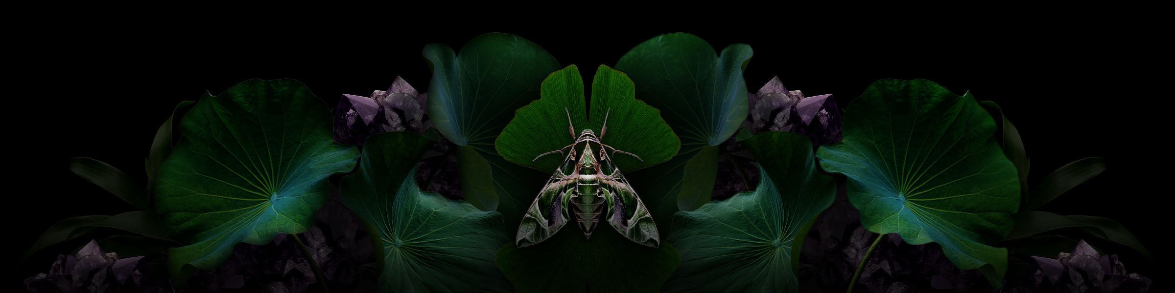 nb_fi_customer_care_100524