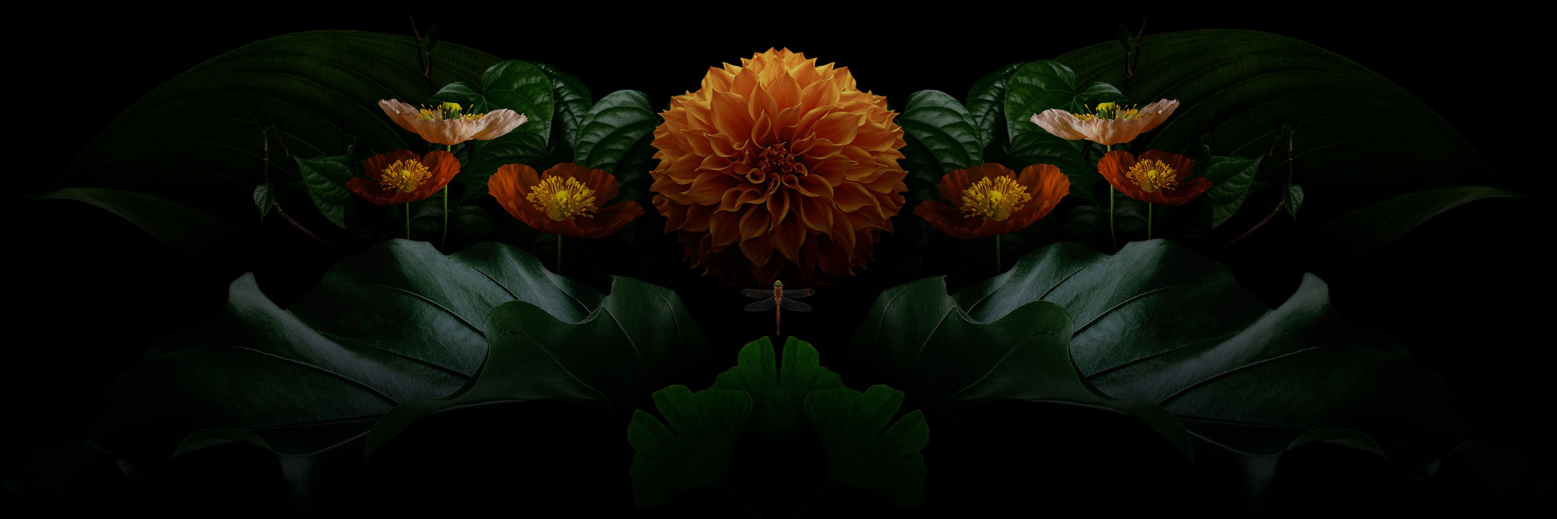 nb_orange_collage_230524